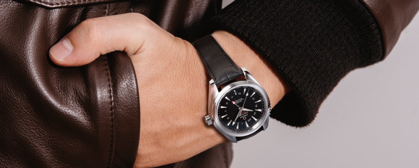 歐米茄海馬 AQUA TERRA GMT