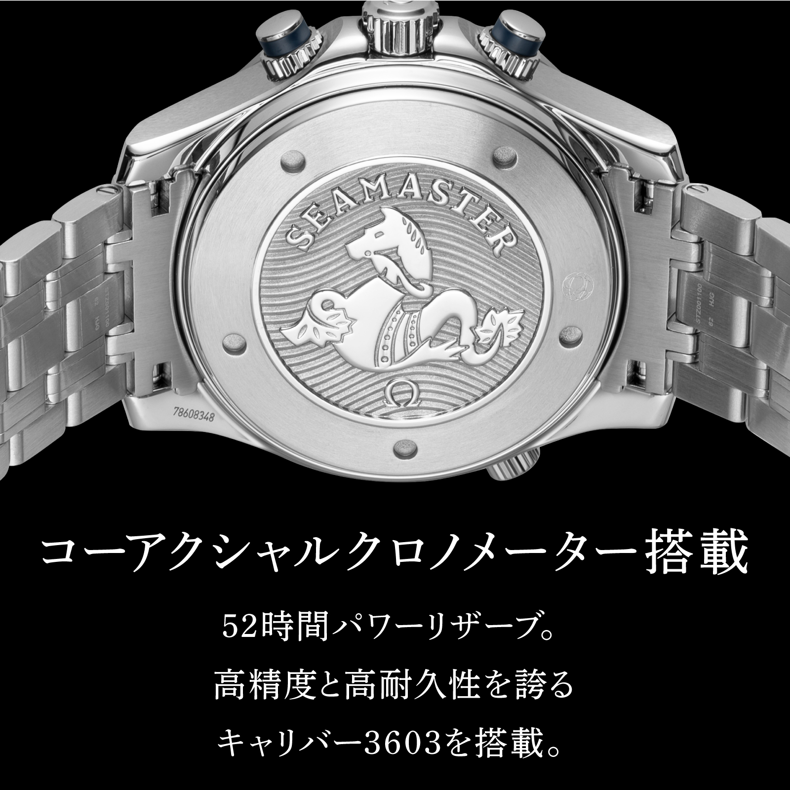 OMEGA SEAMASTER DIVER 300(오메가 씨마스터 다이버 300)